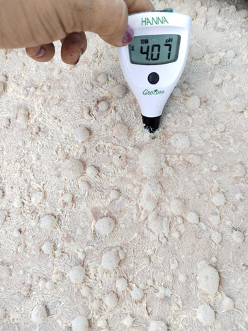 Colombia Hot & Cold Experimental Washed Robusta