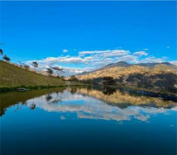 COLOMBIA GESHA WASHED EL OBRAJE