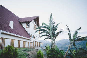 Colombia Washed Pink Champagne Pink Bourbon