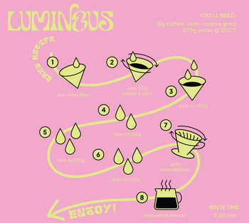 COLOMBIA GESHA WASHED EL OBRAJE