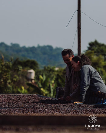 Mexico COSTA RICA 95 Natural 140hr IMPERIAL JADE Lot 22