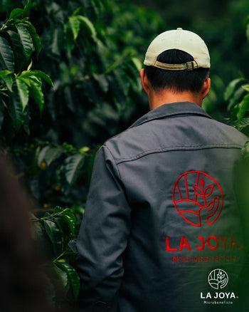 Mexico COSTA RICA 95 Natural 140hr IMPERIAL JADE Lot 22