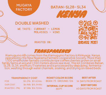 Kenya Mugaya AB Double Washed