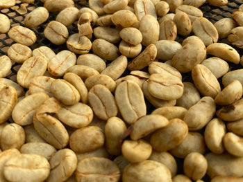 COLOMBIA JAVA NATURAL
