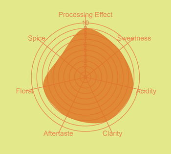 Colombia Hot & Cold Experimental Washed Robusta