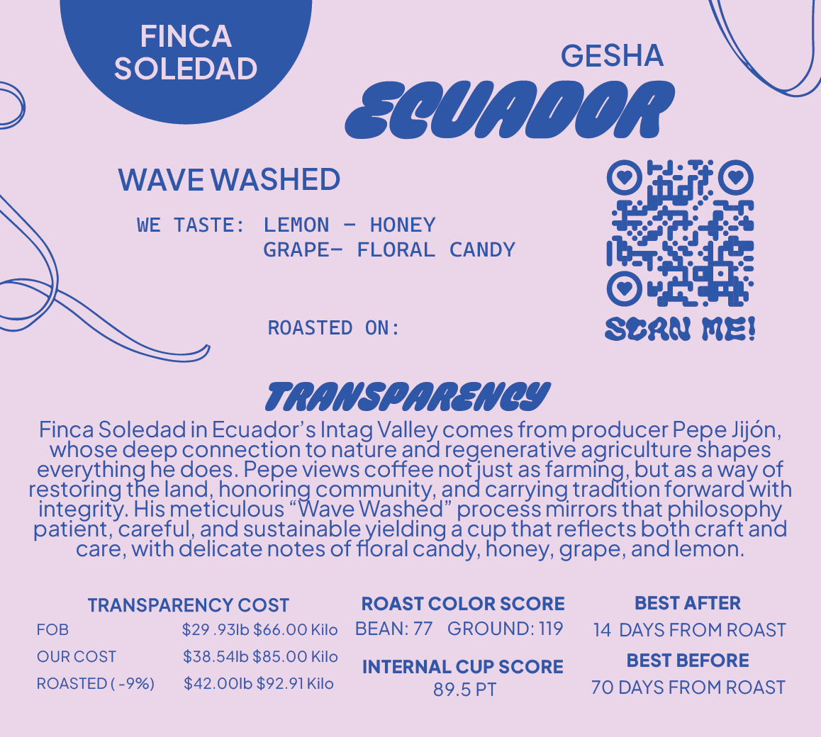 إكوادور قيشا ويڤ مغسولة 